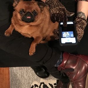 Cejon leopard print gloves